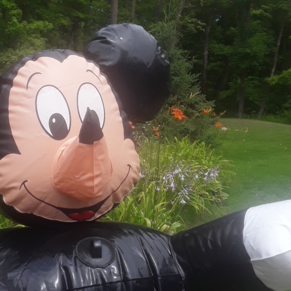 Mickey Mouse VINTAGE Pool Rider 1983 the Wet Set Inflatable Pool Toy - Picture 8 of 16